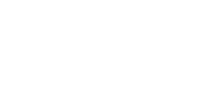 usa domesticroids.com